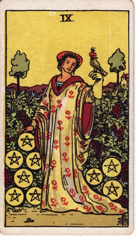 Nine of Pentacles tarot card meaning