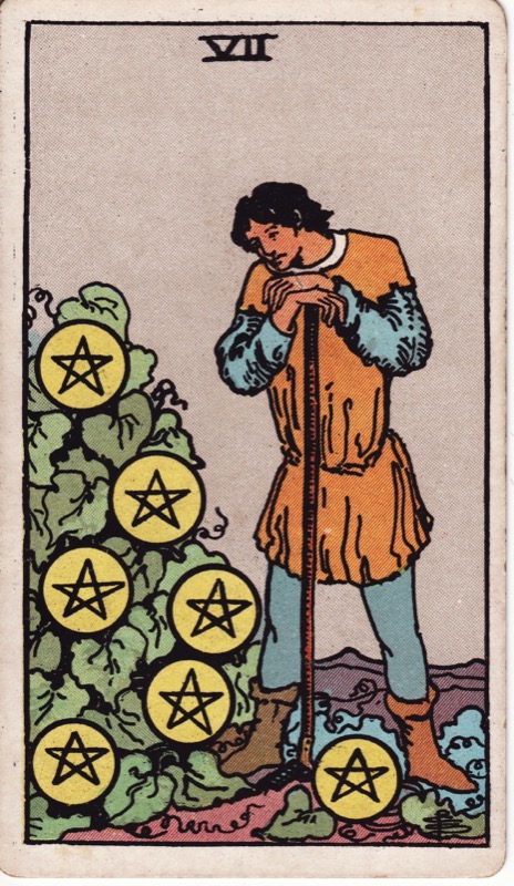 Seven of Pentacles tarot card meaning